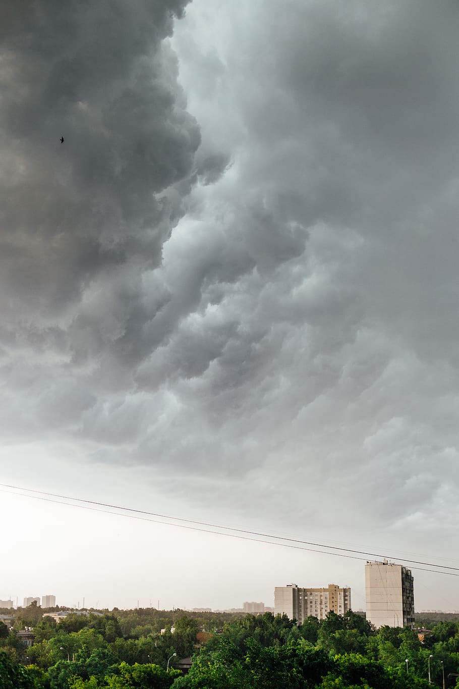 sky, storm, clouds, trees, wires, roof, roofs, view, building HD wallpaper