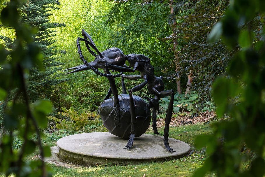 statue, ant, nature, park, green, foliage, sheet, animal, art HD wallpaper