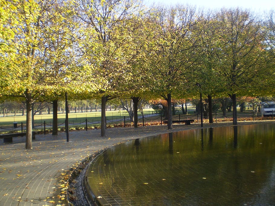 city, park, trees, fall, leaves, water, plant, nature, river HD wallpaper