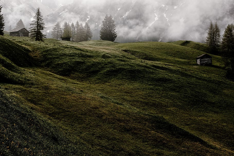 black, fields, fog, grass, gray, green, hills, landscapes, mist HD wallpaper