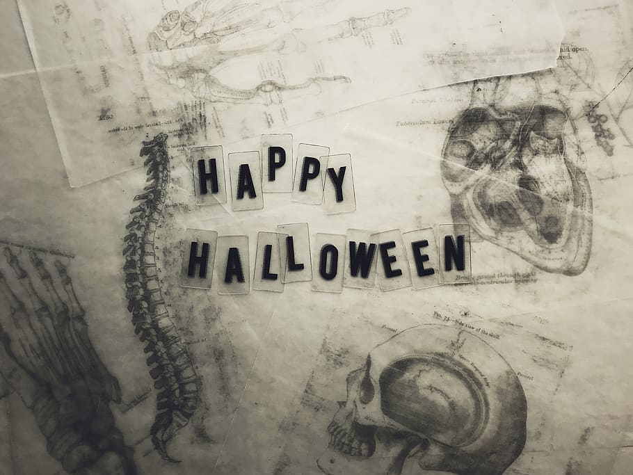 happy halloween wall decor, drawing, art, poster, paper, flyer HD wallpaper