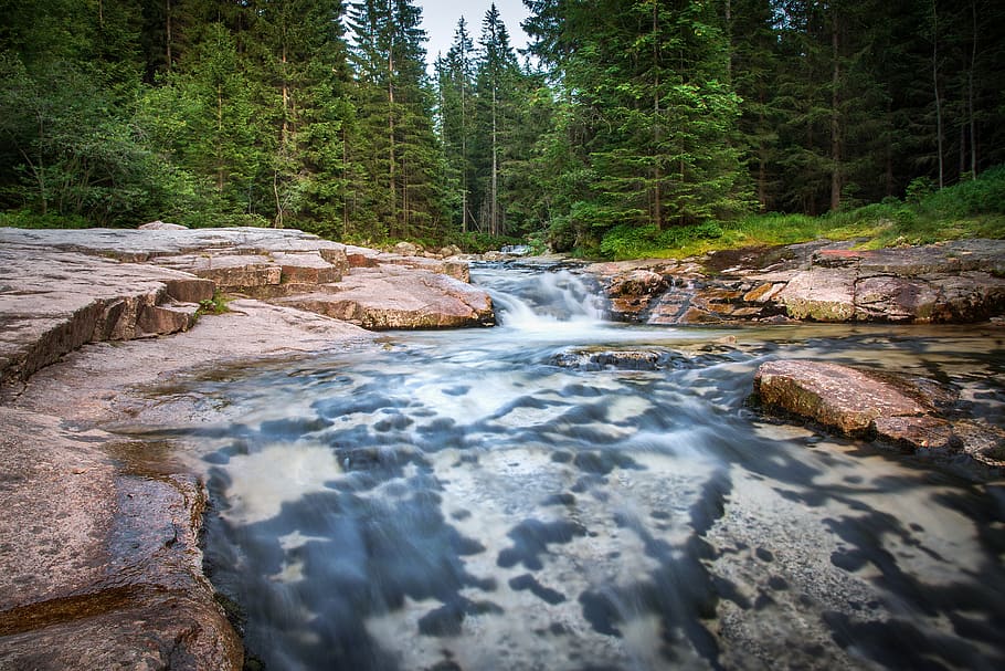 river, cascade, white elbe, waterfall, fluent, creek, green HD wallpaper