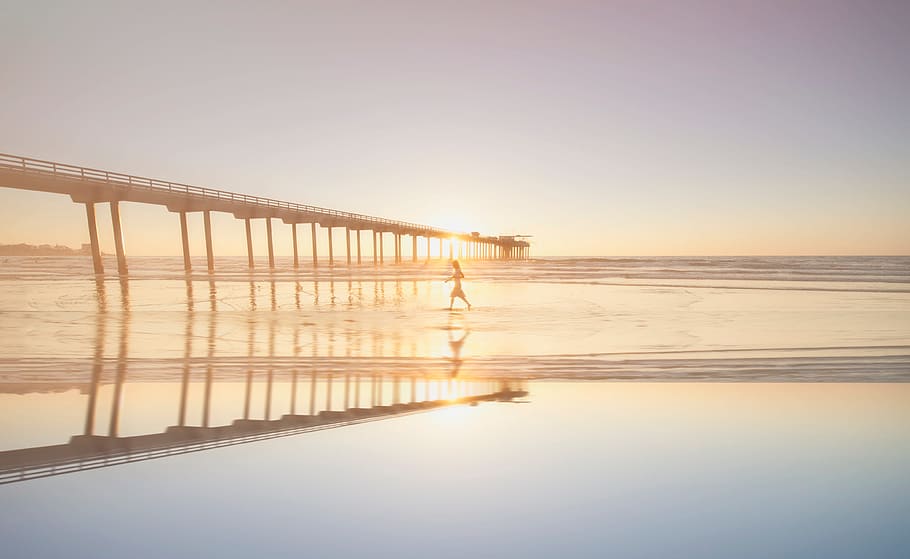 person walking on sea near bridge during daytime, beach, shore HD wallpaper