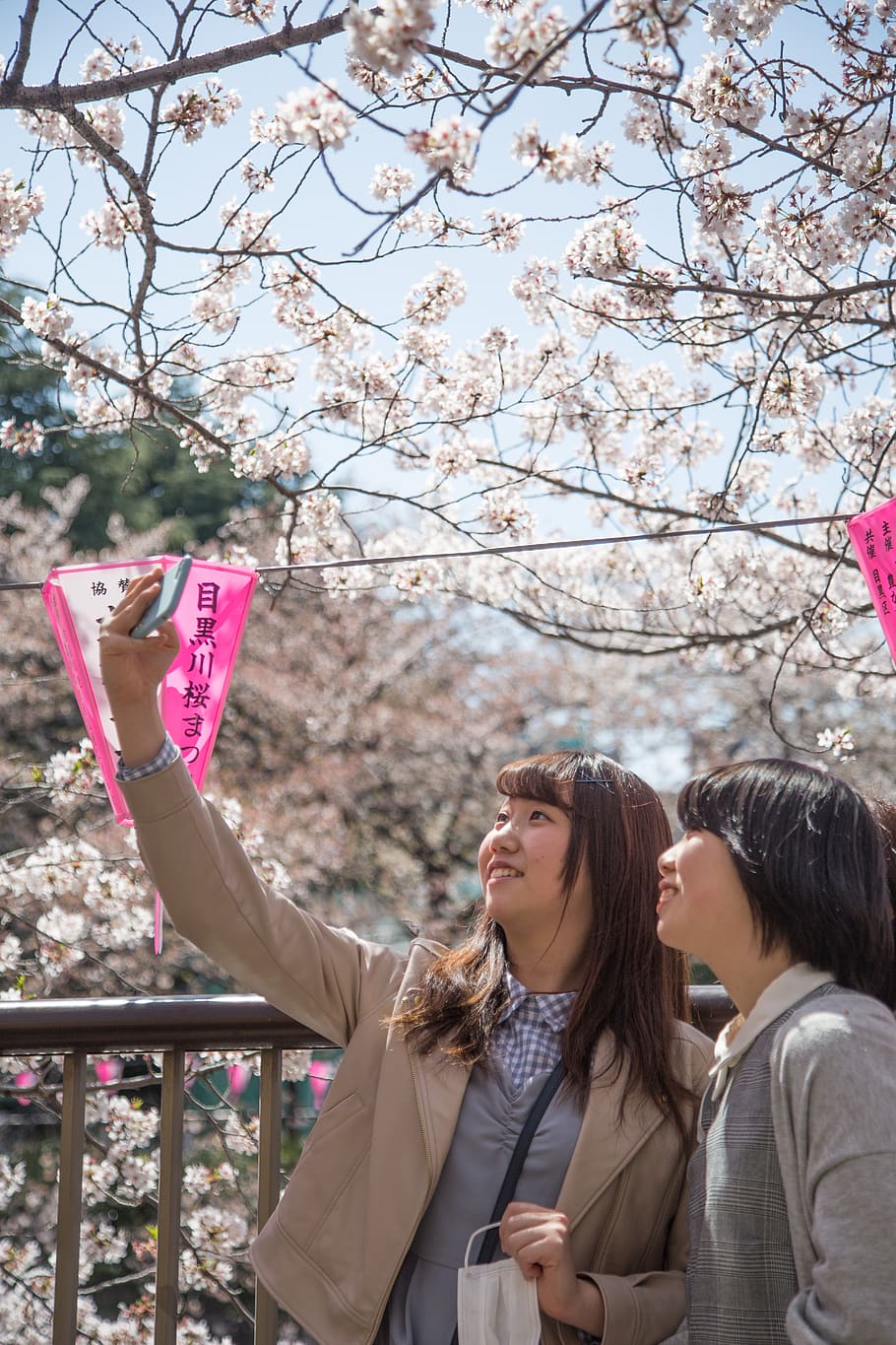 japan, tokyo, girls, japanese girls, cheery blossom, spring, HD wallpaper