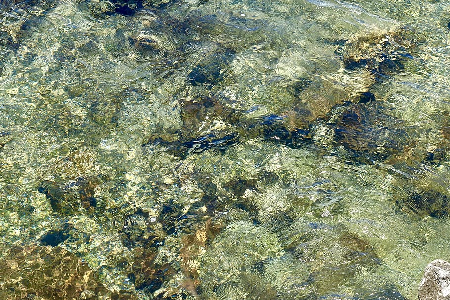 water, full frame, rock, solid, high angle view, transparent HD wallpaper