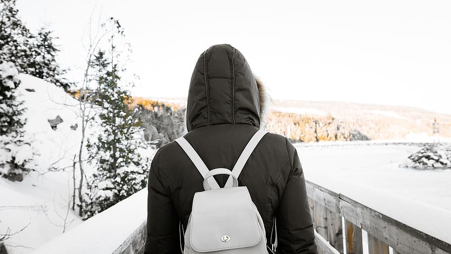 canada, charlevoix, forest, nature, girl, plants, backpack