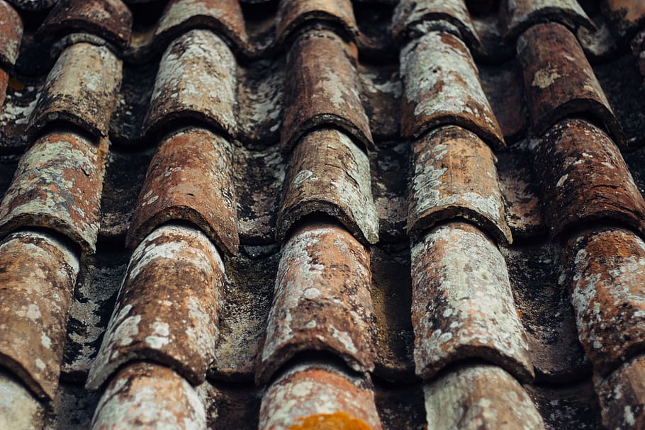 tile, rooftop, full frame, backgrounds, roof tile, no people HD wallpaper