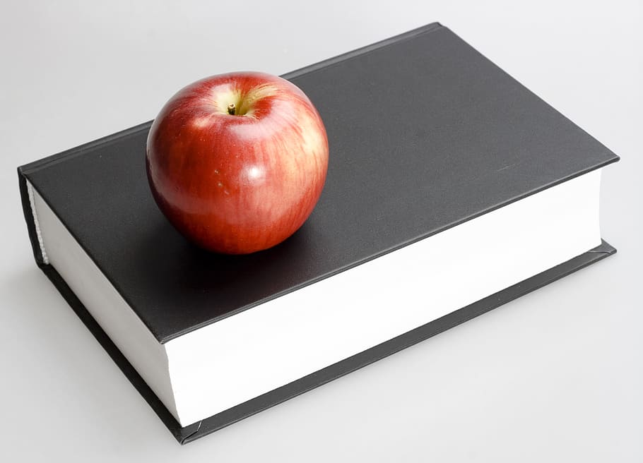 book, education, guidebook, knowledge, library, literacy, literature HD wallpaper