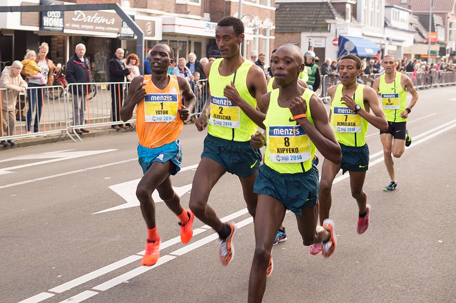 running, sprint, marathon, exercise, fitness, competition, race HD wallpaper