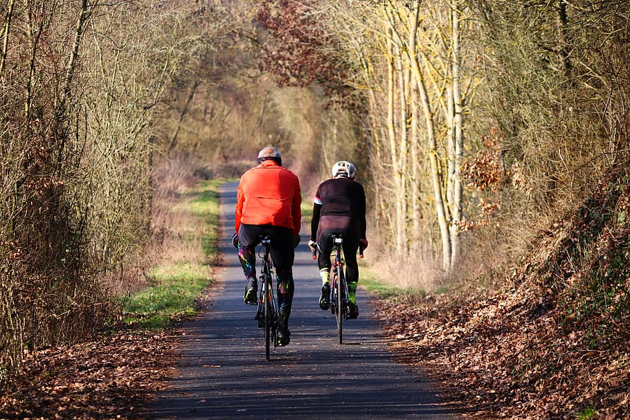 cyclists, drive, cycling, cycle path, autumn, winter, fitness HD wallpaper