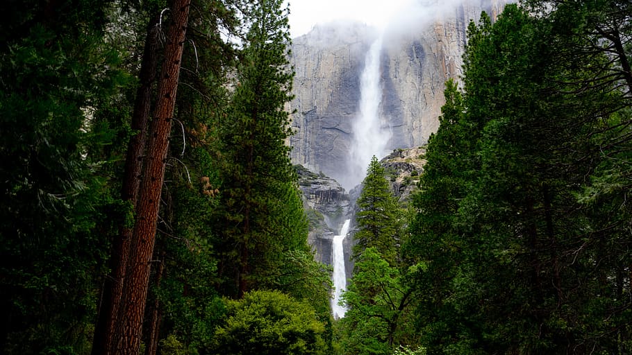 green trees near waterfalls, view, cliff, mountain, woodland HD wallpaper