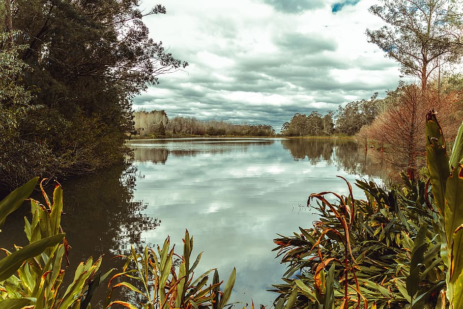 jungle, river, sky, landscape, green, tropical, nature, water HD wallpaper