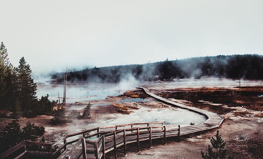 boardwalk, travel, road, path, traveling, Yellowstone, hot springs HD wallpaper