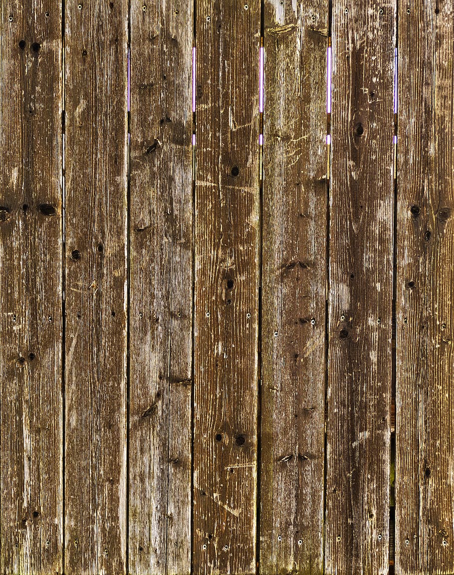 wood, boards, branches, spruce, spruce wood, weathered, battens HD wallpaper