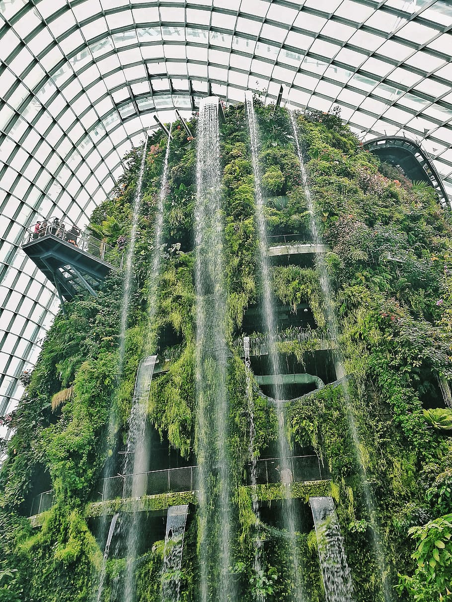 singapore, built structure, architecture, plant, growth, green color HD wallpaper