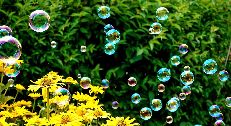 soap bubbles, colorful, summer, float, slightly, ease, make soap bubbles