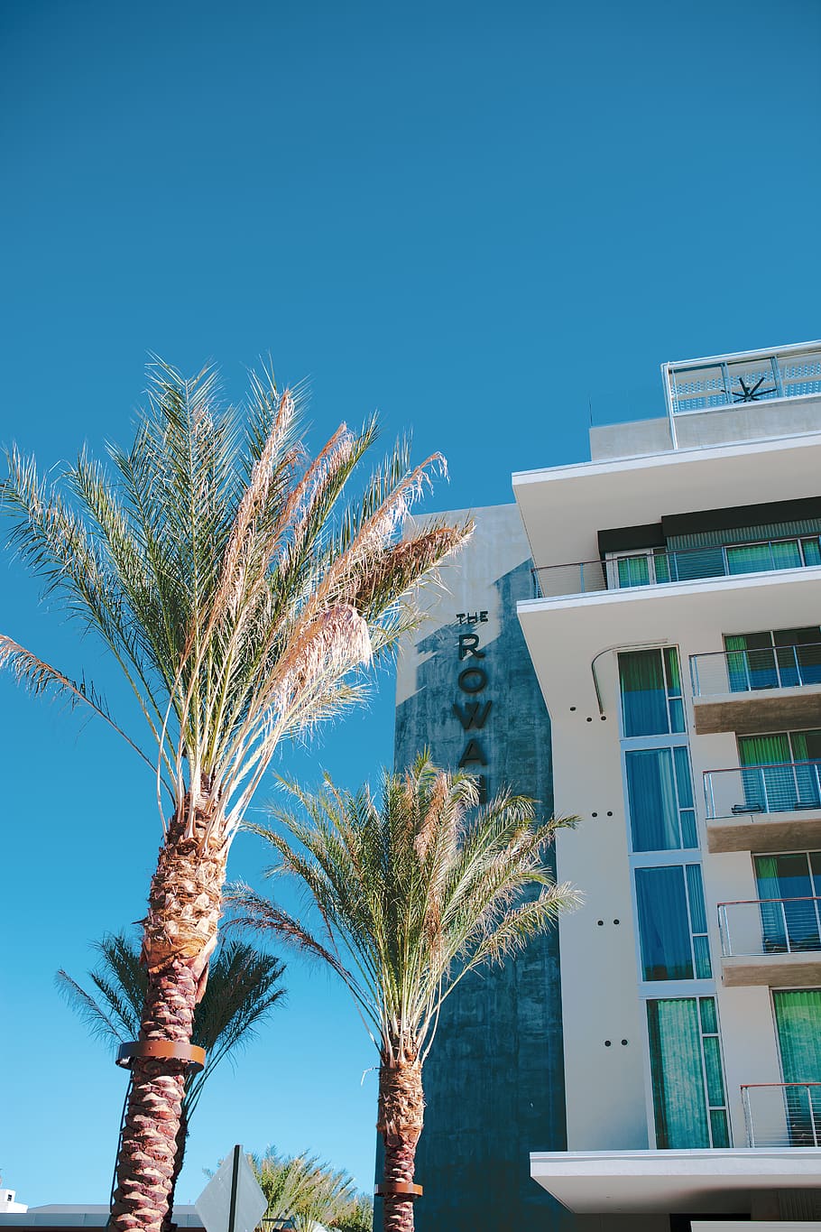 Palm Trees Near High-rise Building, architectural design, architecture HD wallpaper