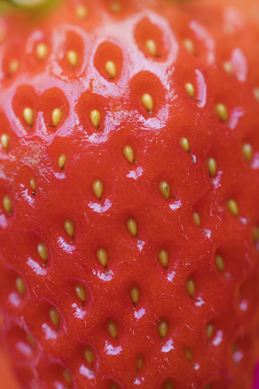 background, berry, closeup, delicious, dessert, detox, diet HD wallpaper