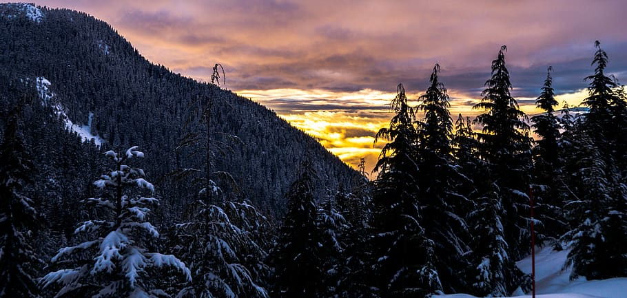 trees, mountains, sunset, snow, winter, plant, sky, scenics - nature HD wallpaper