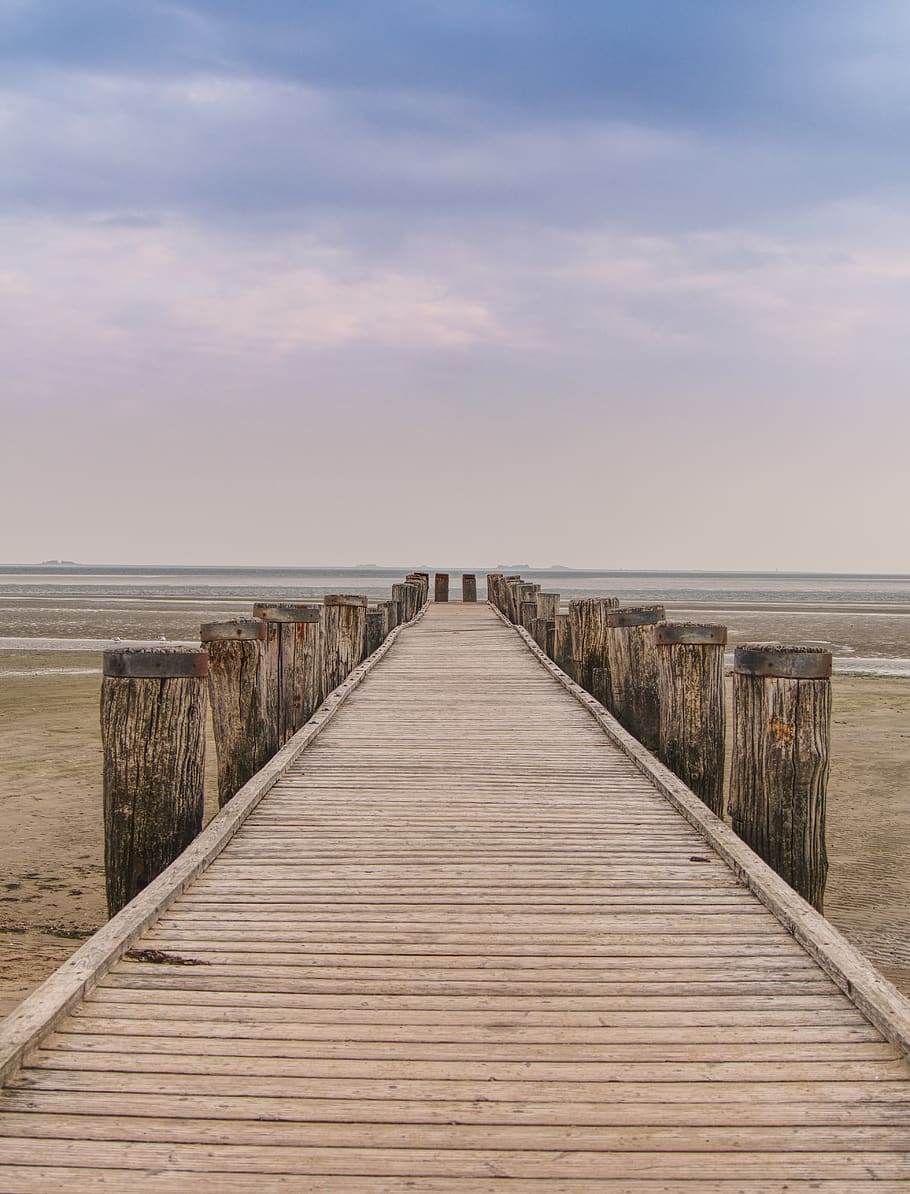 web, boardwalk, bridge, beach, pillar, sky, north sea, ebb HD wallpaper
