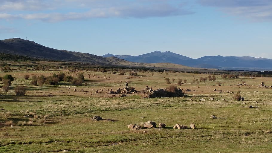 sierra, nature, mountain, landscape, environment, group of animals HD wallpaper