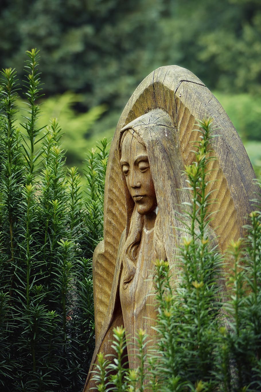 virgin, maria, monument, statue, tombstone, wood, woods, prayer HD wallpaper