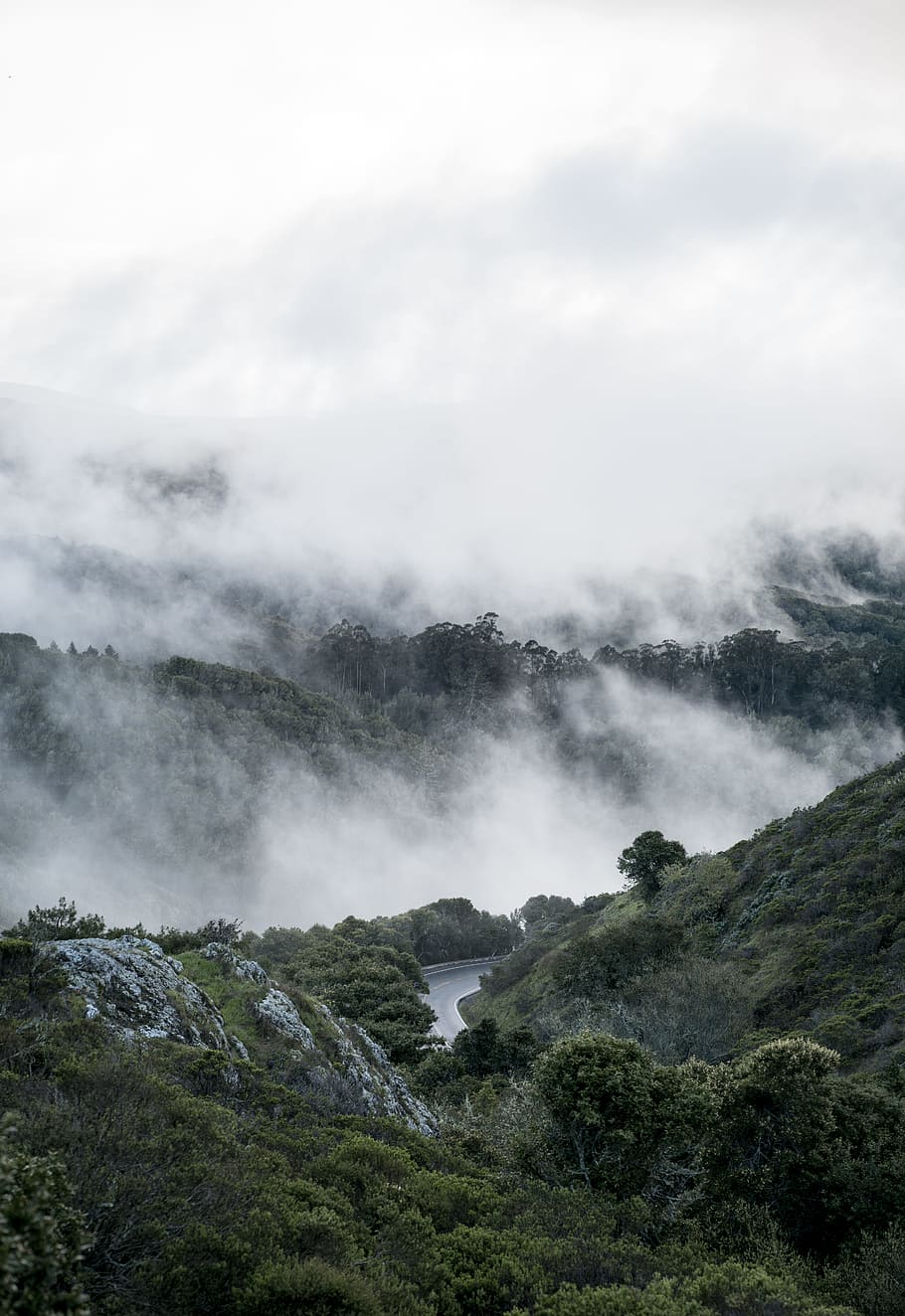 body of water between mountain under foggy sky, forest, cloudy HD wallpaper