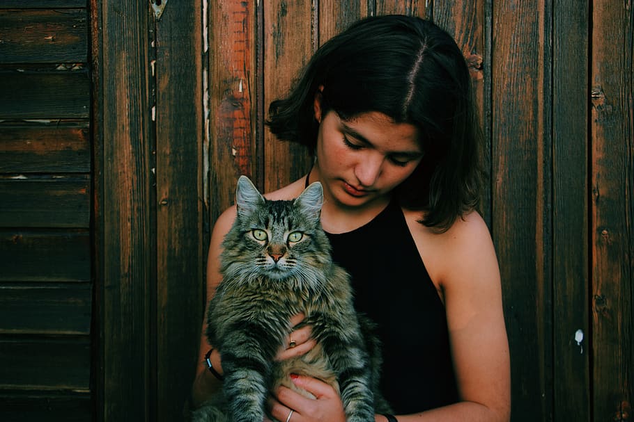woman wearing black sleeveless top holding gray cat, domestic cat, HD wallpaper