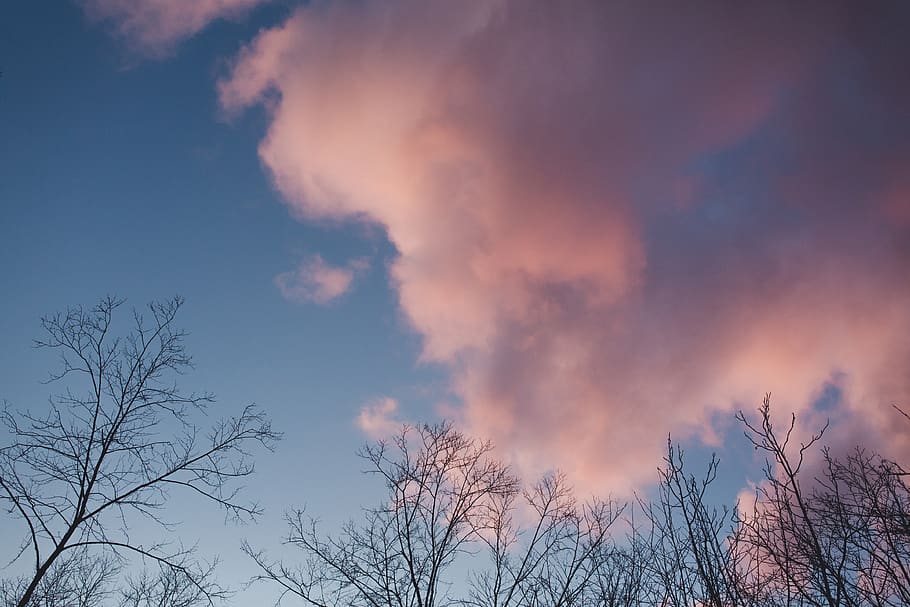 black bare trees, weather, nature, sky, cloud, outdoors, cumulus HD wallpaper