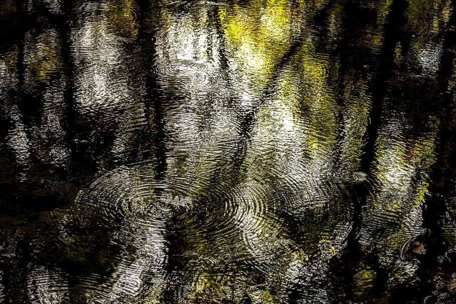 pond, stream, torrent, river, water, water surface, waves, oscillation HD wallpaper
