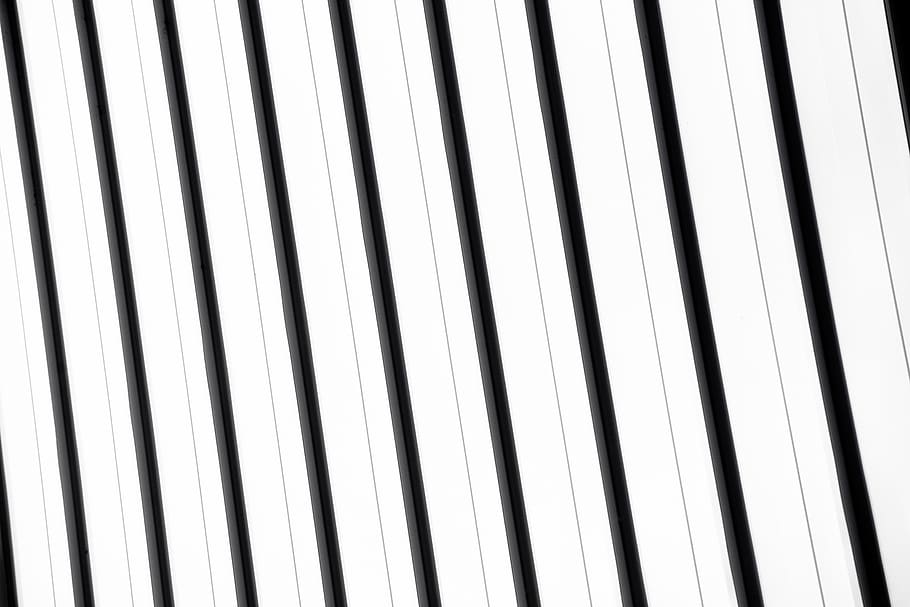 White and Black Striped, 4k wallpaper, art, background, black and white, HD wallpaper