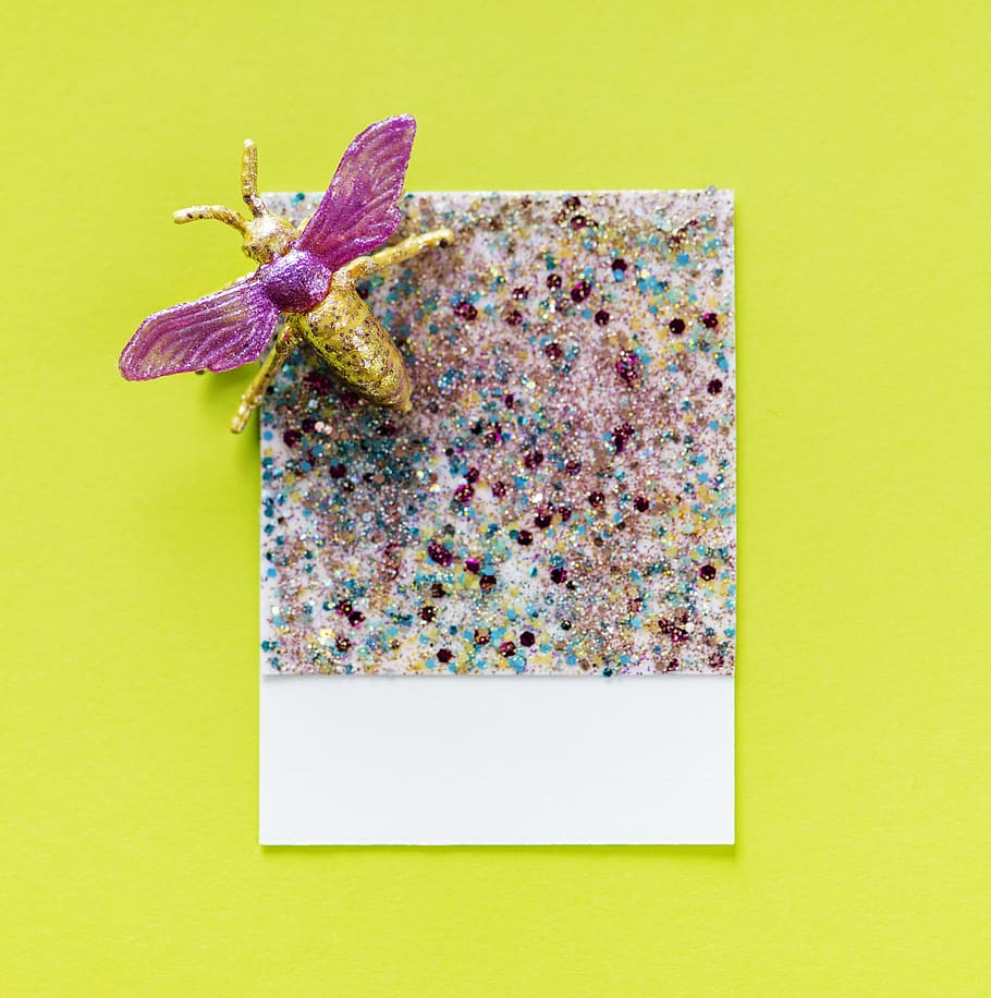 Multicolored Glittered With Fly Accent, animal, art, background HD wallpaper