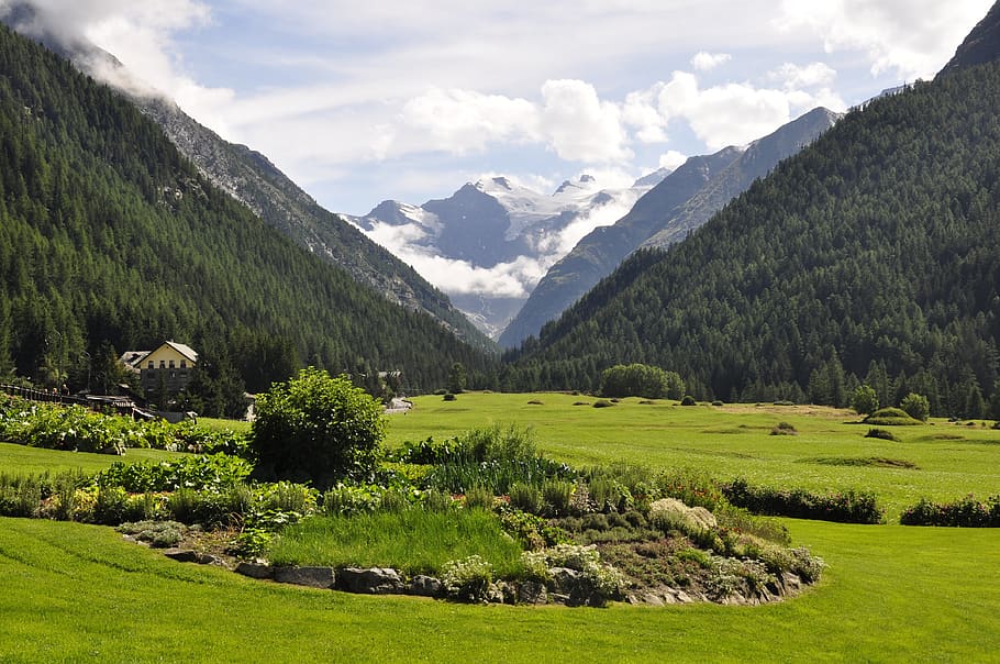 mountain, nature, landscape, valle, travel, the sant'orso meadow HD wallpaper