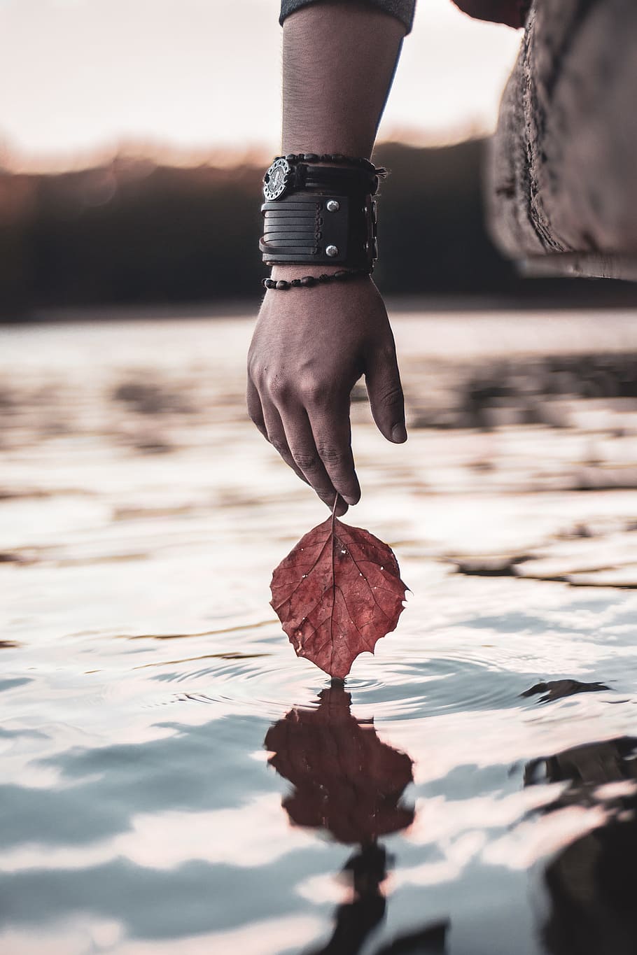 person holding red leaf above calm water, hand, arm, reflection HD wallpaper