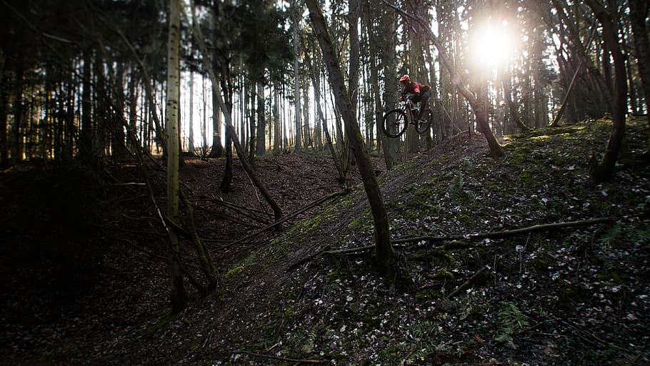 time lapse photography of forest, bike, bicycle, tree, sun, wood HD wallpaper