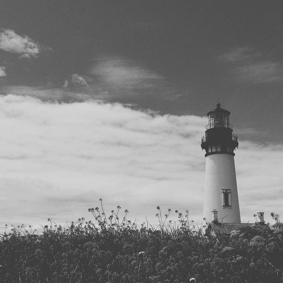 lighthouse, sky, flowers, light house, bandw, field, sea, tower HD wallpaper