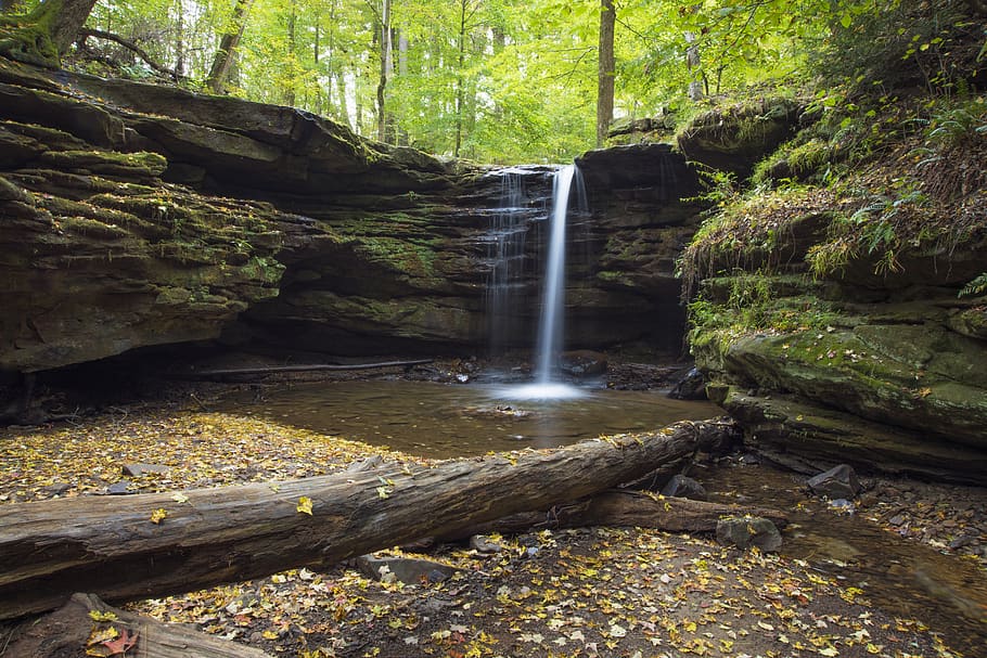 waterfalls surrounded by trees at daytime, creek, stream, outdoors HD wallpaper