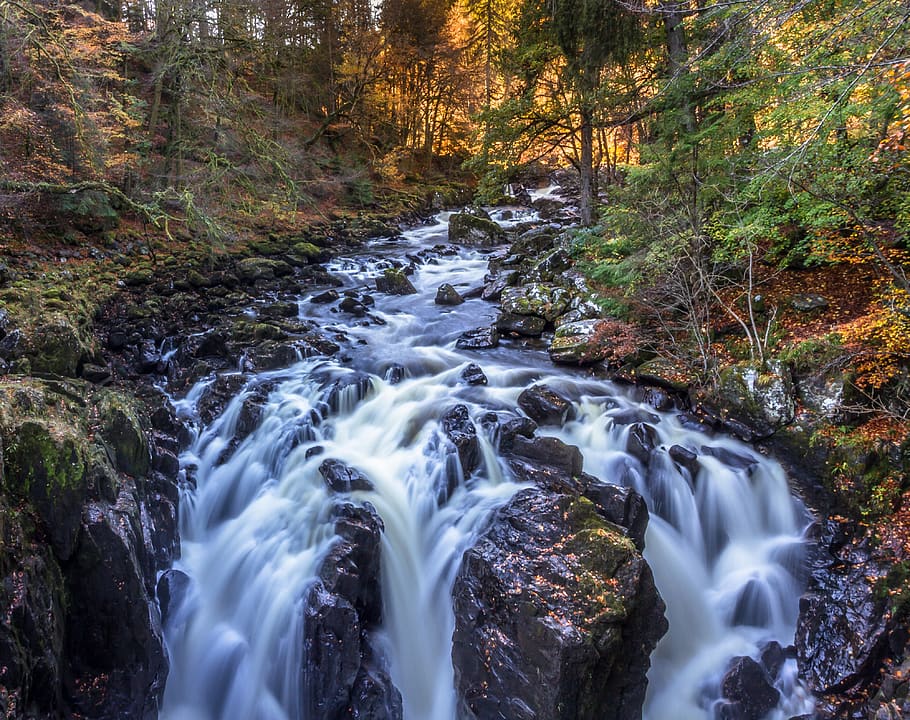 water, waterfall, stream, nature, river, long exposure, forest HD wallpaper