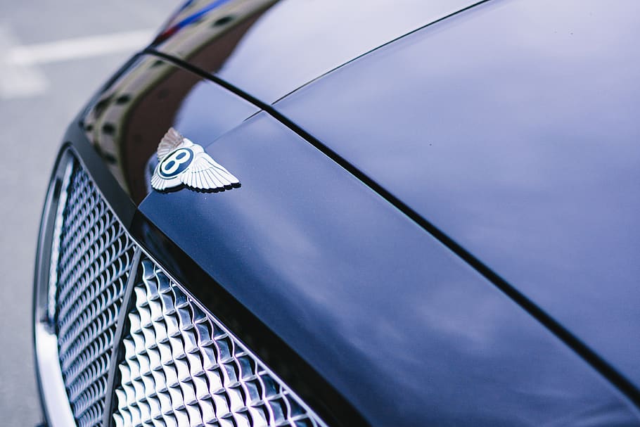 bentley, car, chrome, city, city life, device, drive, driver HD wallpaper