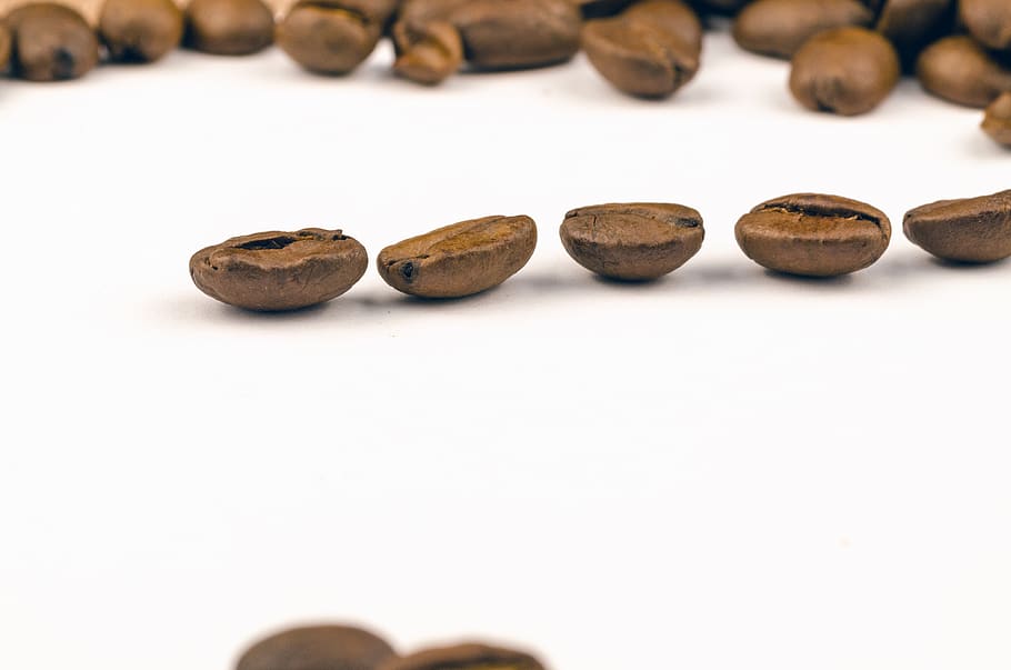 Brown Nut Lot, aroma, background, beans, caffeine, close-up, coffee beans HD wallpaper