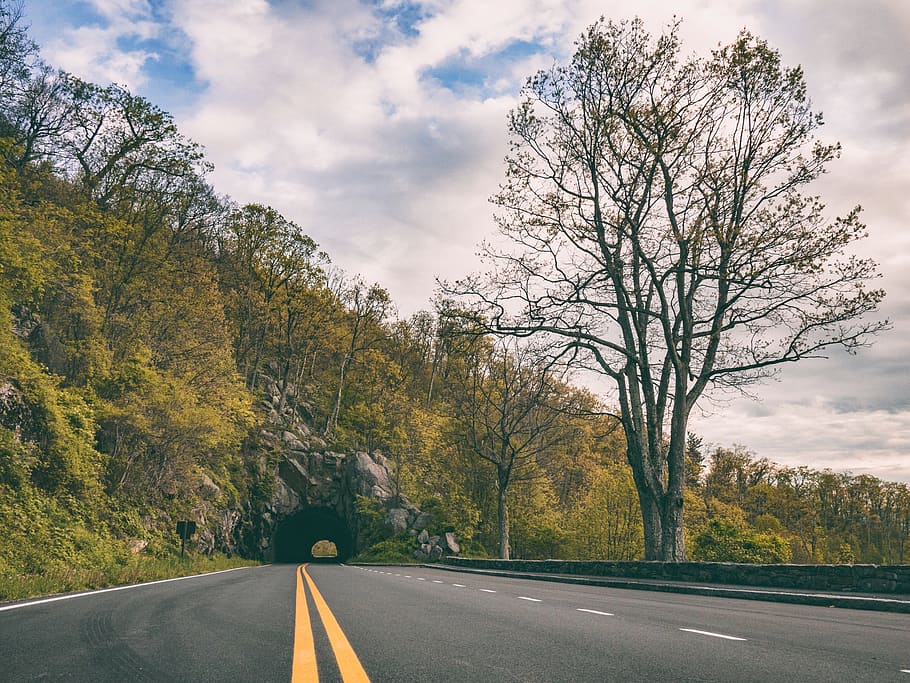 mountain, green, trees, plants, asphalt, road, tunnel, travel HD wallpaper