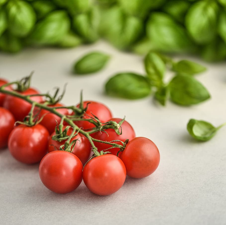 tomatoes, basil, food, italian, vegetable, healthy, red, vegetarian HD wallpaper