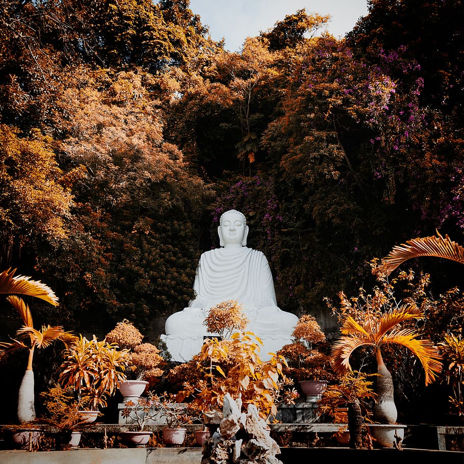 Buddha statue, belief, religion, sculpture, spirituality, plant HD wallpaper