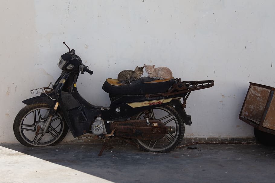 black underbone motorcycle, vehicle, vespa, motor scooter, transportation HD wallpaper