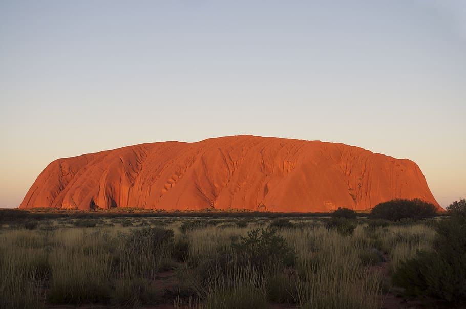Orange Mountain Under Clear Sky, bush, landscape, nature, scenic HD wallpaper
