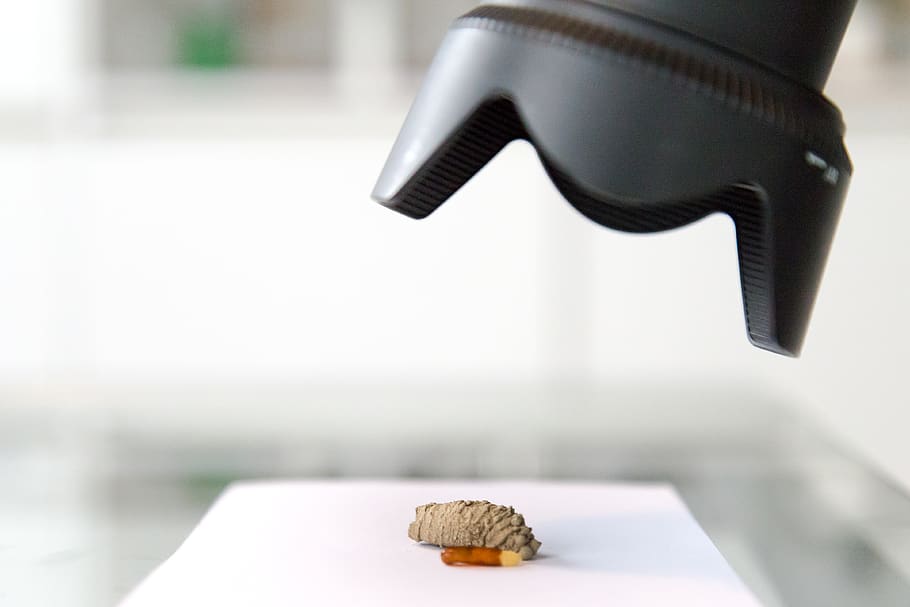cocoon, insect, camera, macro, macrophotography, indoors, focus on foreground HD wallpaper