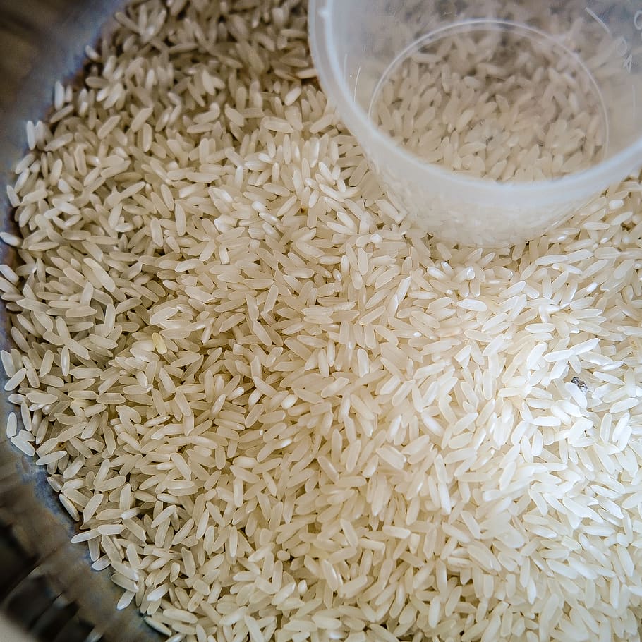 rice, grains, wheat, cup, small, tiny, white, pills, food and drink HD wallpaper