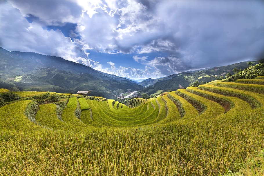 Rice Terraces, agriculture, clouds, country, countryside, cropland, HD wallpaper