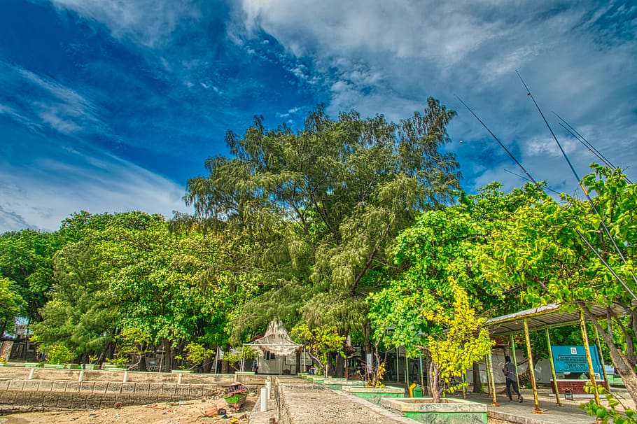 Green Trees Near Pathway, blue sky, cloudiness, clouds, cloudscape HD wallpaper