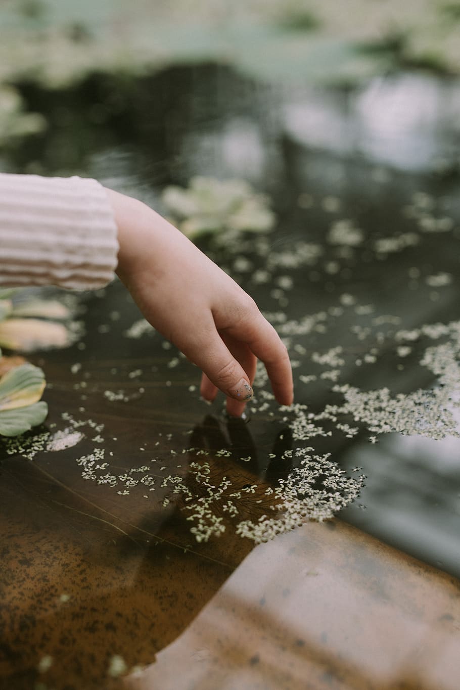 hand, flower, water, blur, bokeh, human hand, human body part HD wallpaper